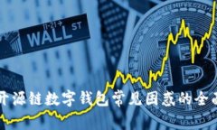 解决开源链数字钱包常见困惑的全面指南