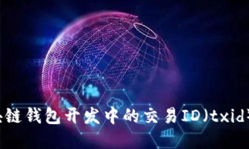  区块链钱包开发中的交易ID（txid）详解