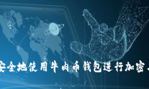 如何安全地使用牛肉币钱包进行加密与交易