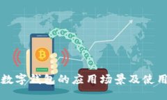 上海数字钱包的应用场景及使用指南