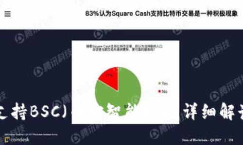 TP钱包是否支持BSC（币安智能链）？详细解读及使用指南