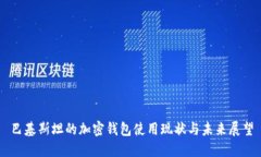 巴基斯坦的加密钱包使用