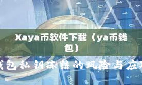 : TP钱包私钥冻结的风险与应对策略
