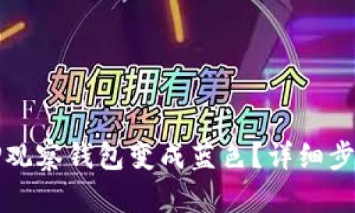 如何将TP观察钱包变成蓝色？详细步骤与技巧